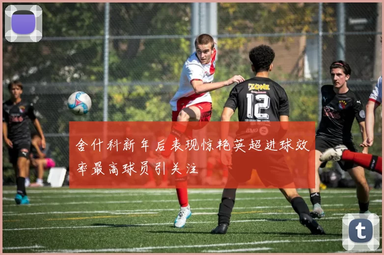 舍什科新年后表现惊艳英超进球效率最高球员引关注