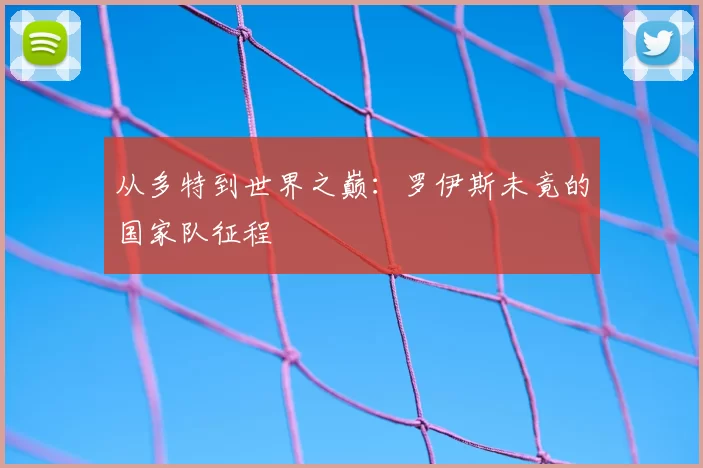 从多特到世界之巅:罗伊斯未竟的国家队征程