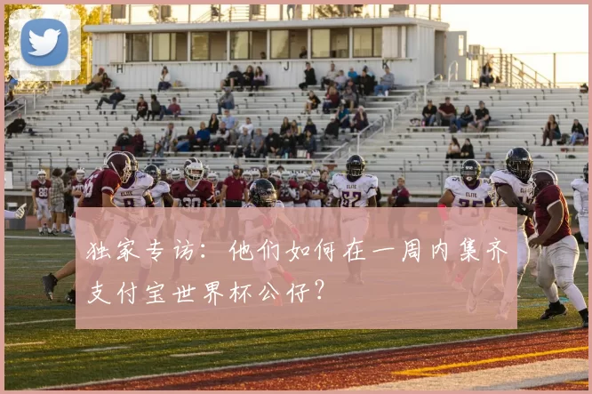 独家专访:他们如何在一周内集齐支付宝世界杯公仔?