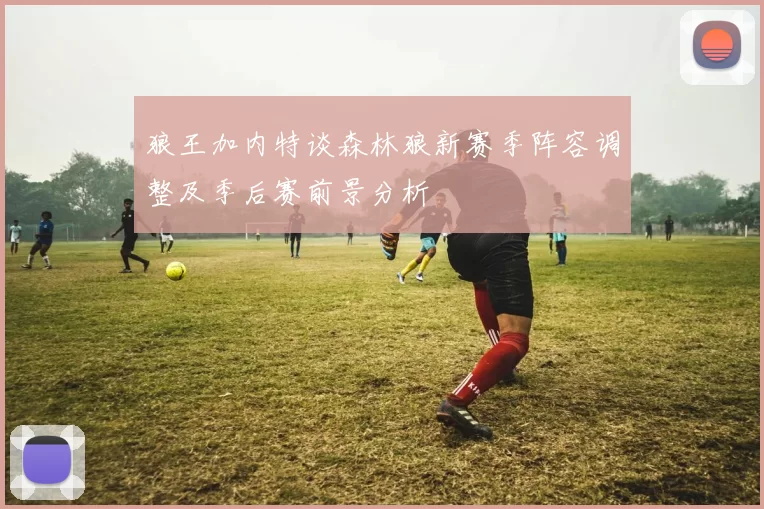 狼王加内特谈森林狼新赛季阵容调整及季后赛前景分析