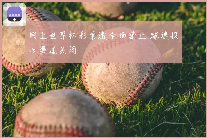 网上世界杯彩票遭全面禁止 球迷投注渠道关闭