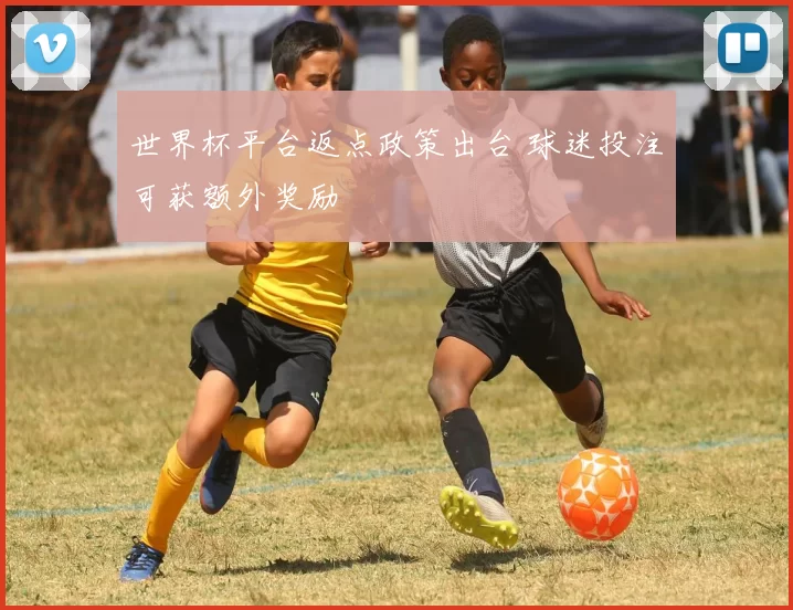 世界杯平台返点政策出台 球迷投注可获额外奖励