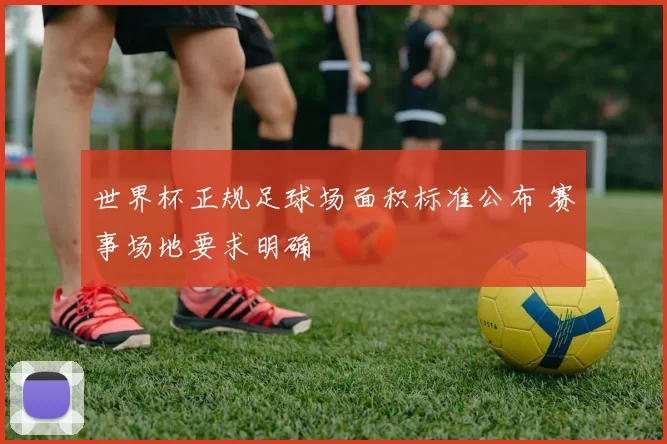 世界杯正规足球场面积标准公布 赛事场地要求明确