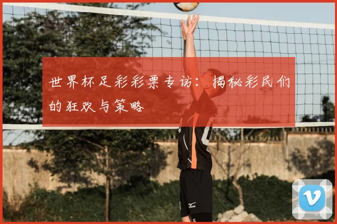 世界杯足彩彩票专访:揭秘彩民们的狂欢与策略